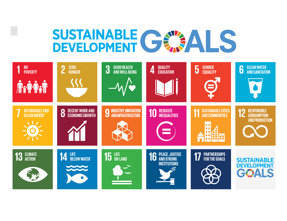 SDG goals